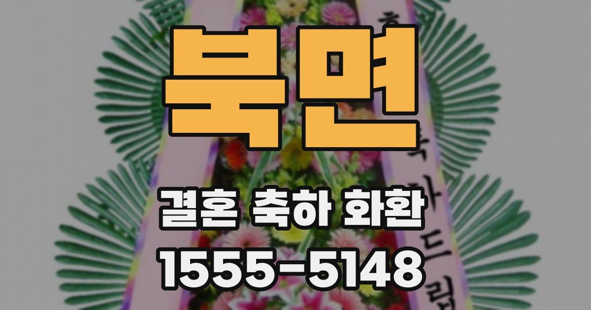 북면 결혼 축하 화환