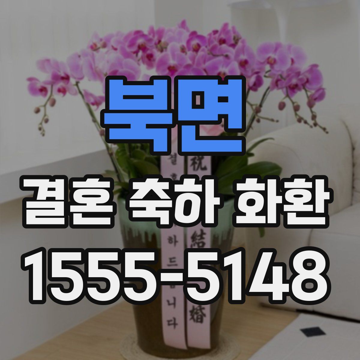 북면 결혼 축하 화환