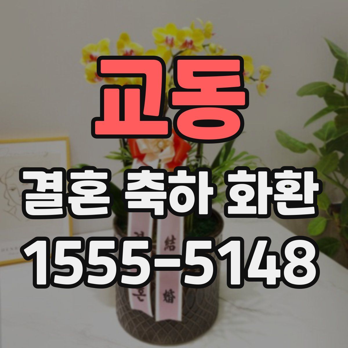 교동 결혼 축하 화환