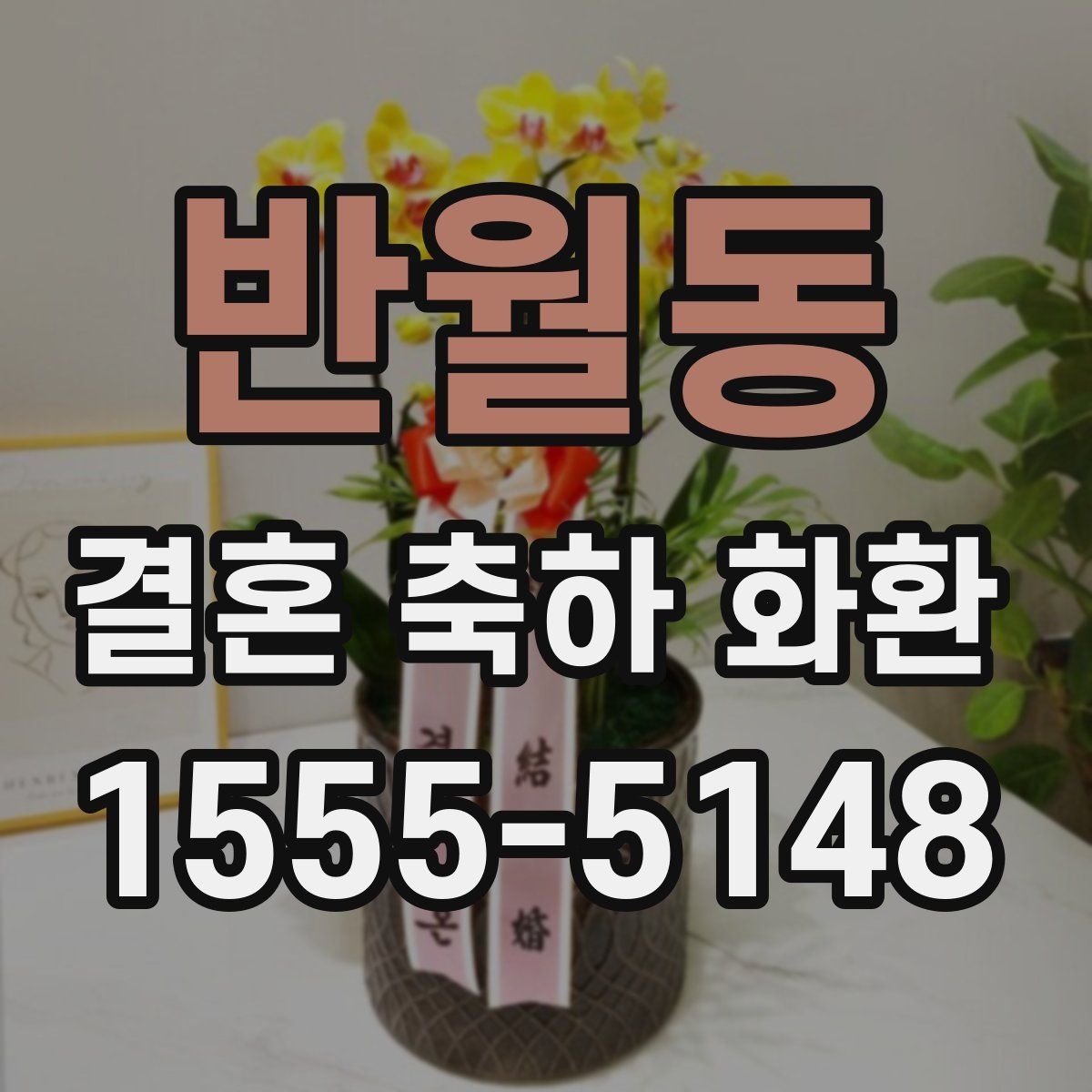 반월동 결혼 축하 화환