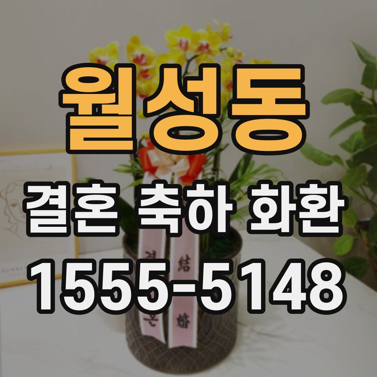 월성동 결혼 축하 화환
