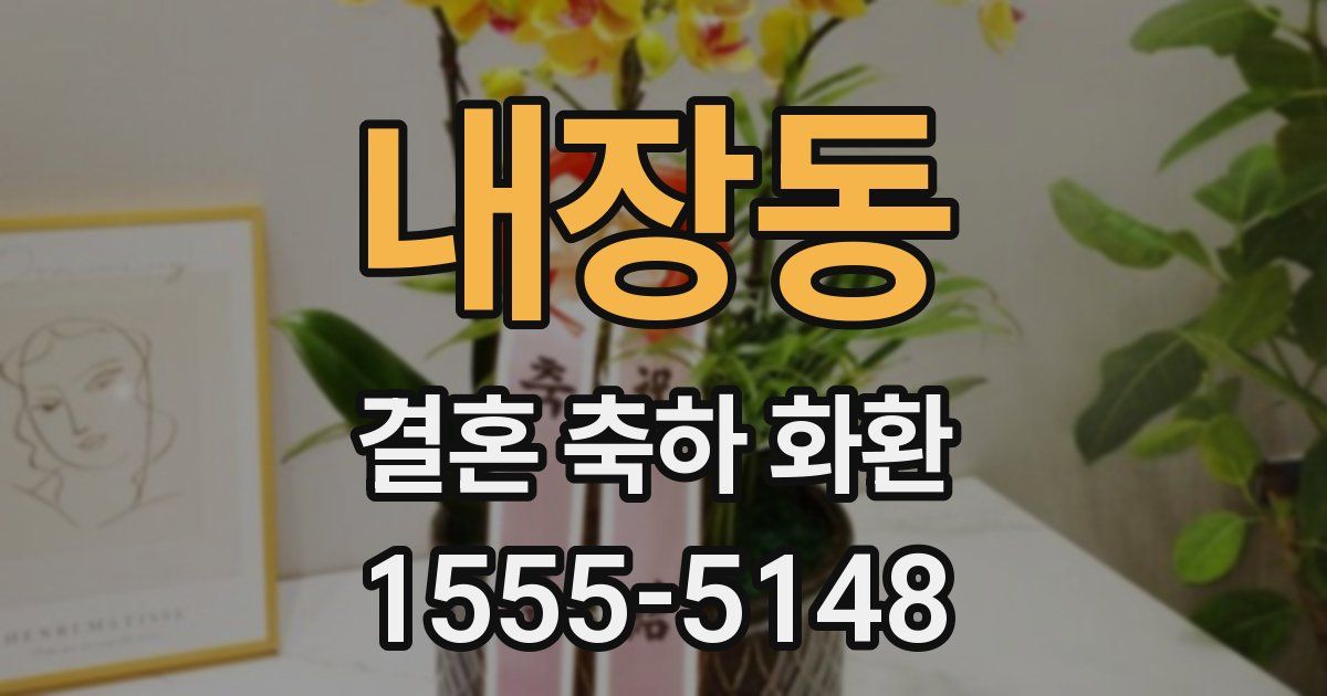 내장동 결혼 축하 화환