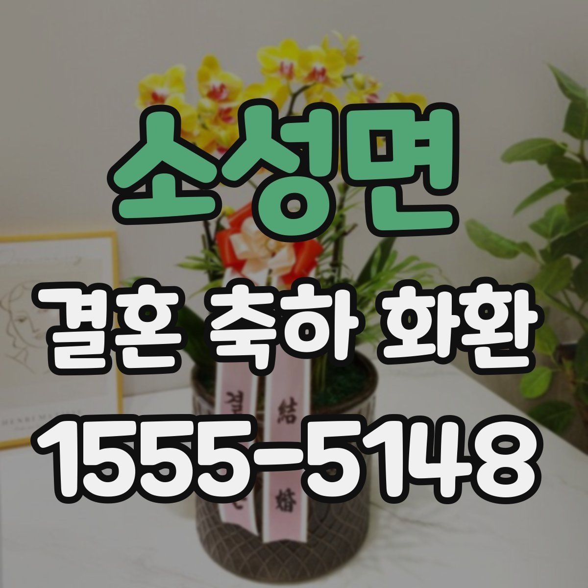 소성면 결혼 축하 화환