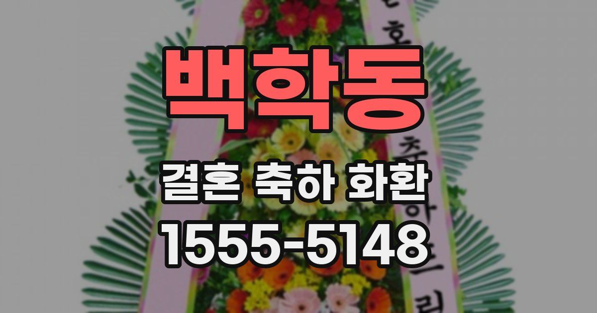 백학동 결혼 축하 화환