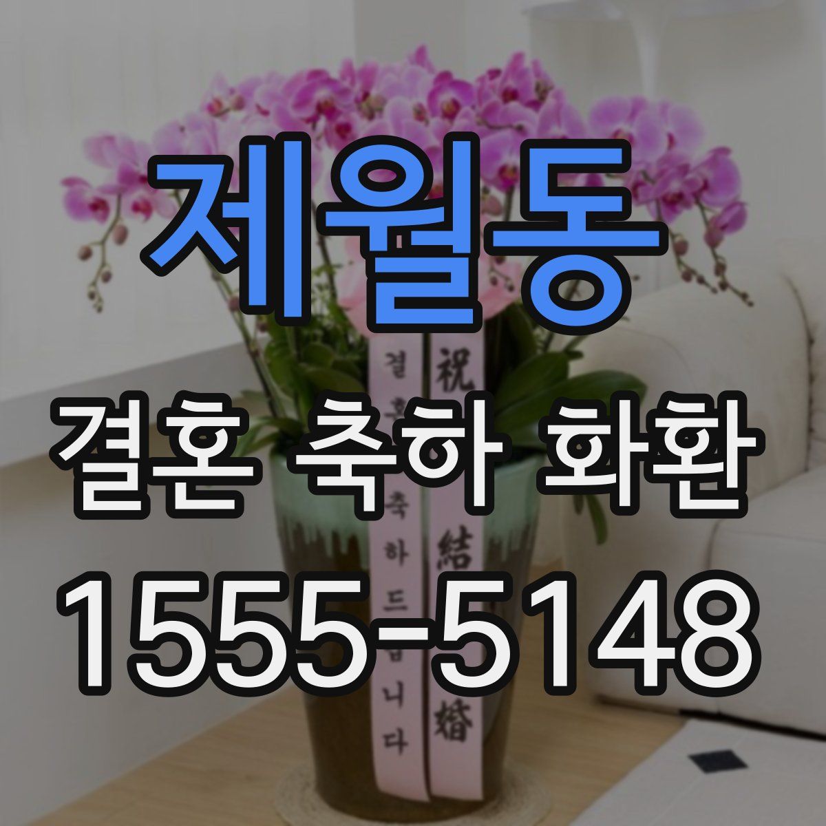 제월동 결혼 축하 화환