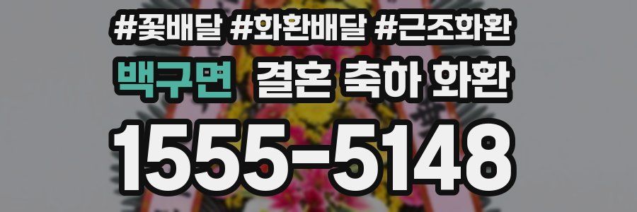 백구면 결혼 축하 화환