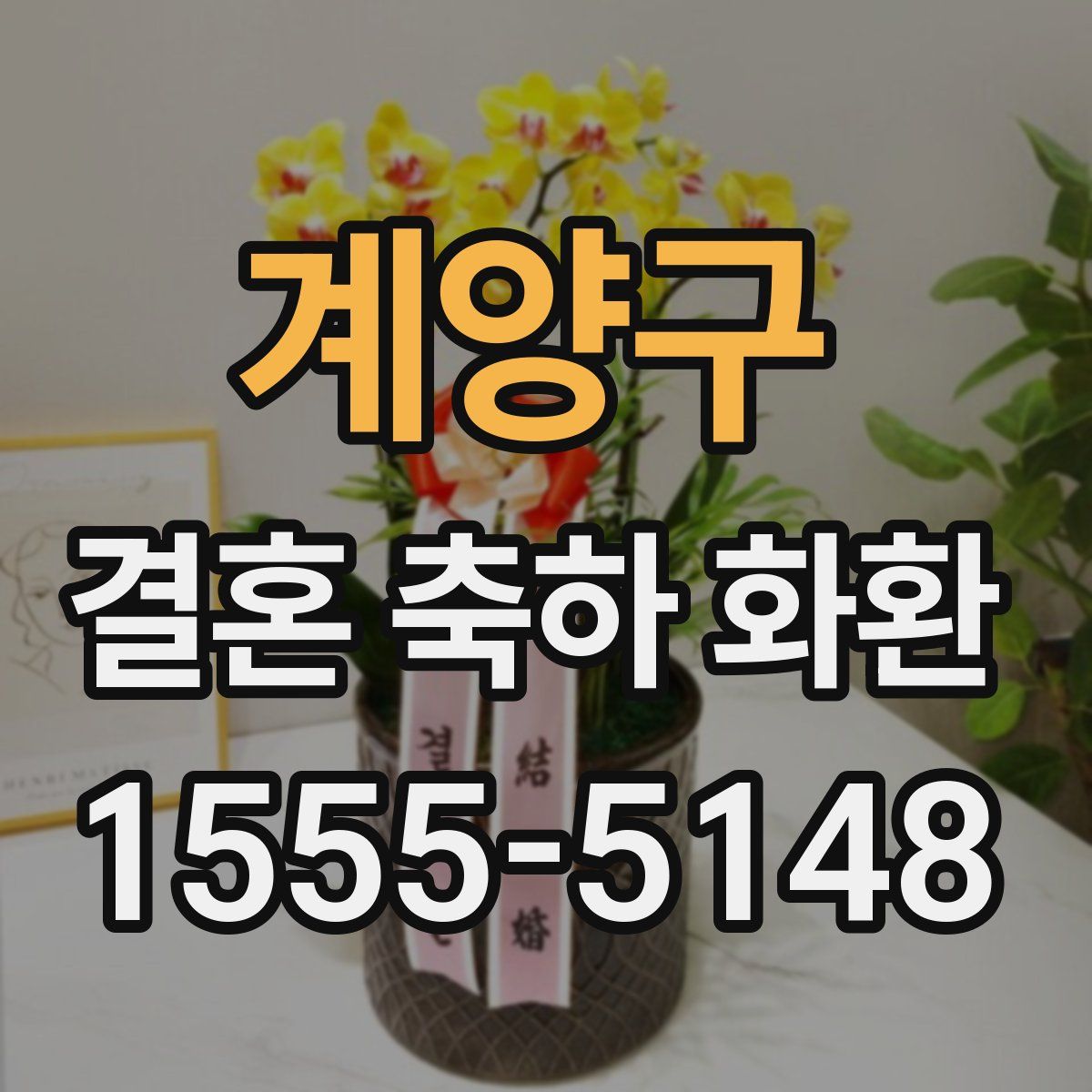 계양구 결혼 축하 화환