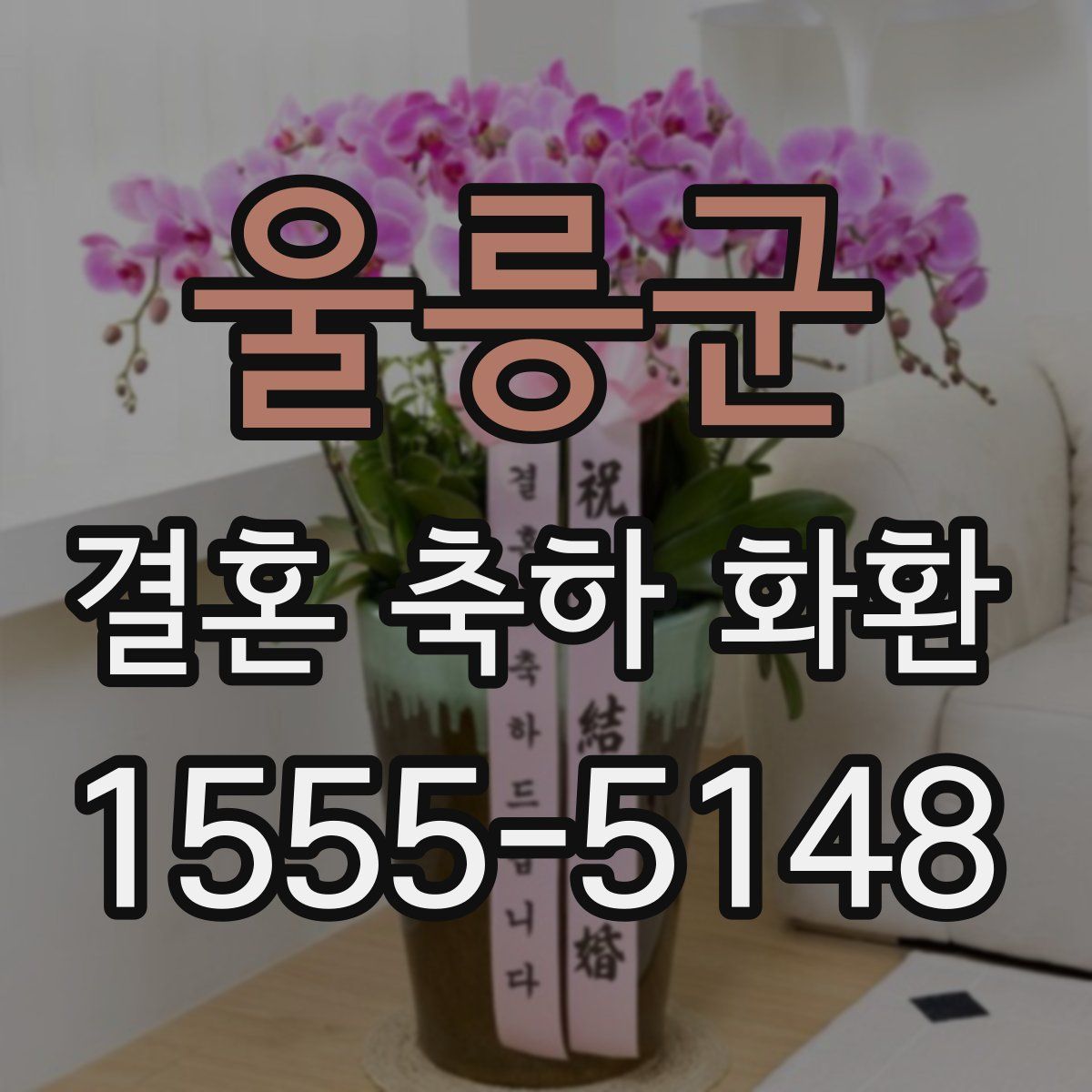 울릉군 결혼 축하 화환