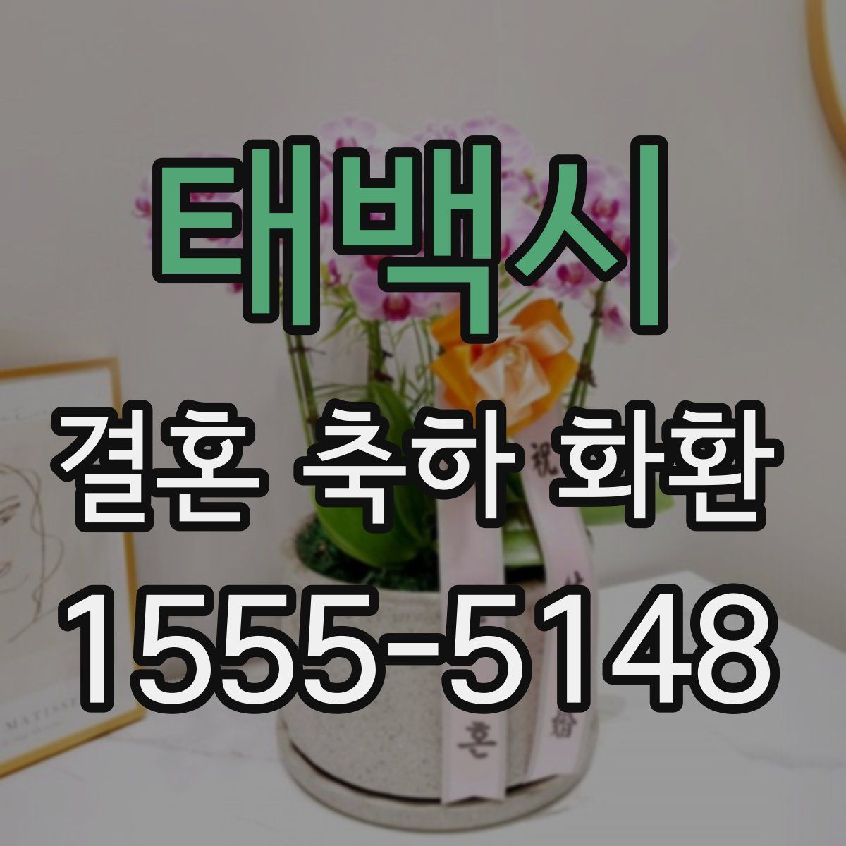태백시 결혼 축하 화환