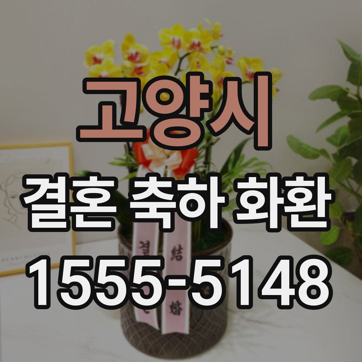 고양시 결혼 축하 화환