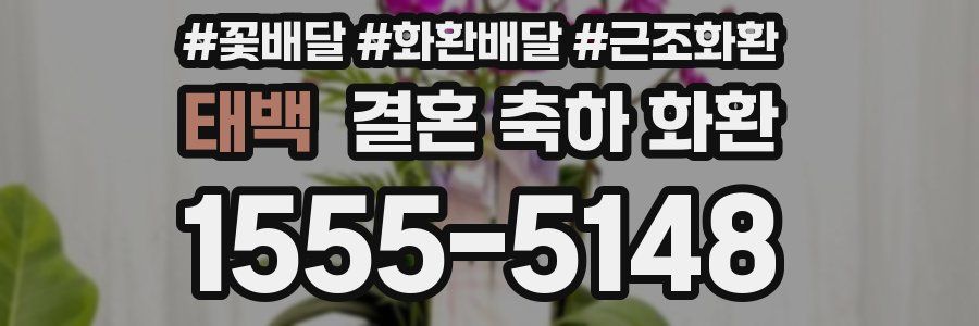 태백 결혼 축하 화환