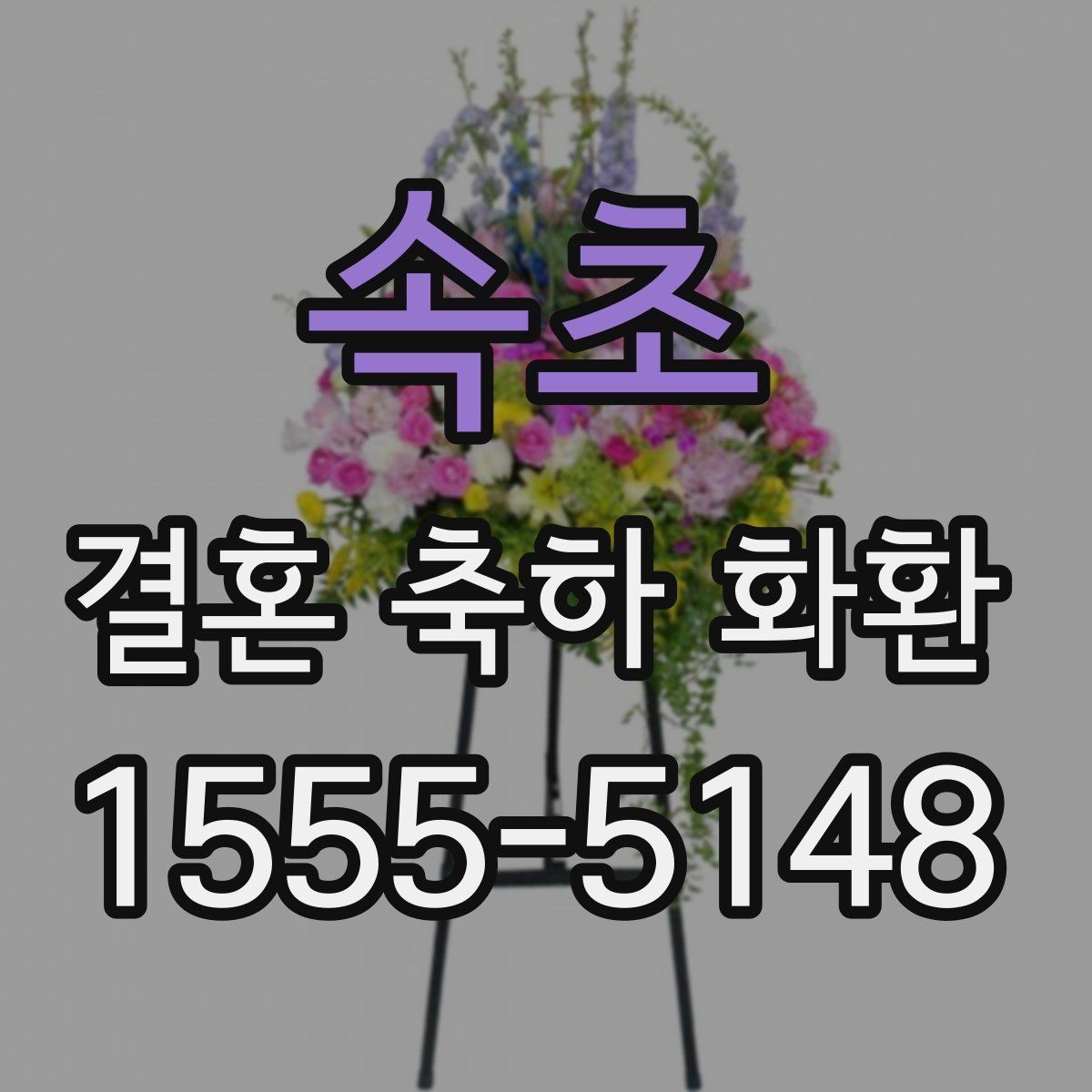 속초 결혼 축하 화환 문구 길이 조절하는 기준