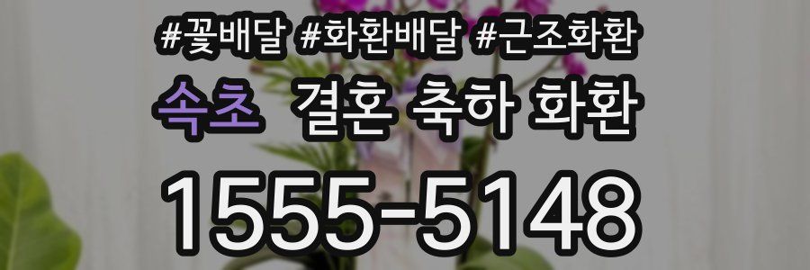 속초 결혼 축하 화환