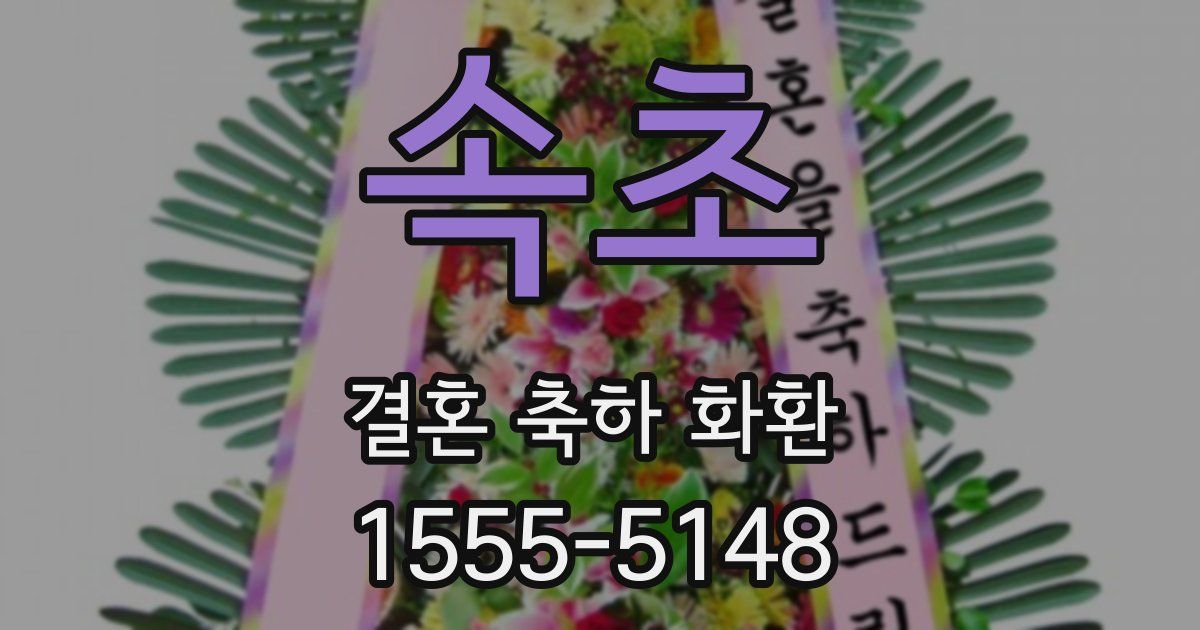 속초 결혼 축하 화환