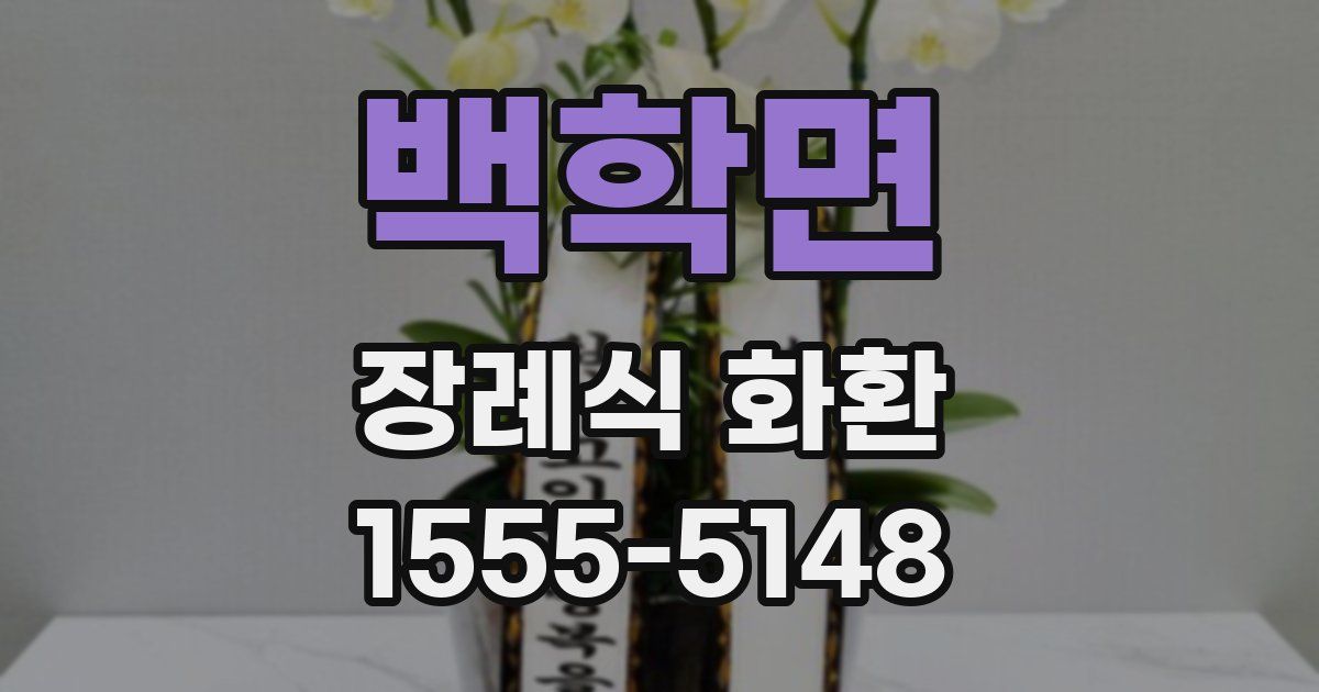 백학면 장례식 화환