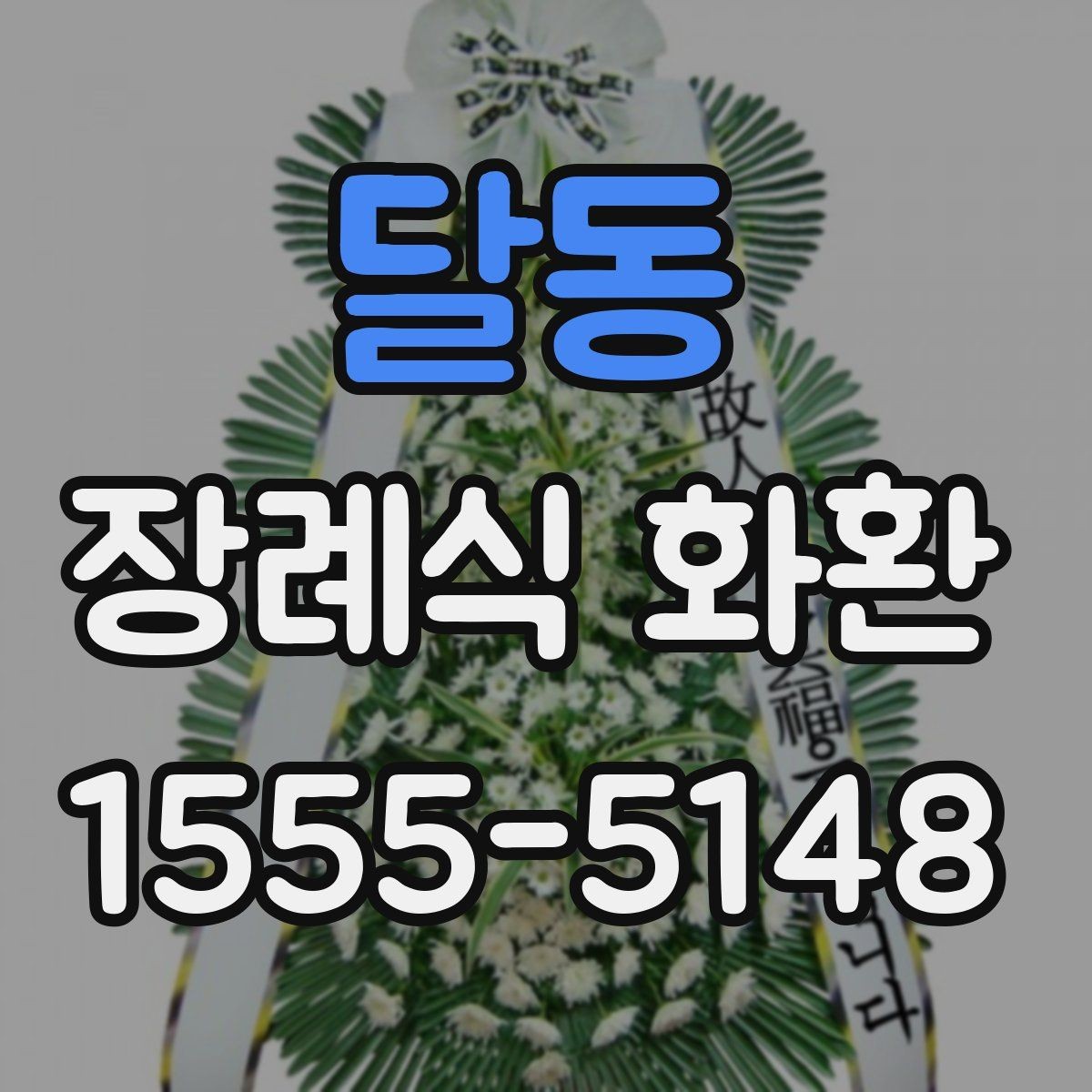 달동 장례식 화환 예산별 선택 기준