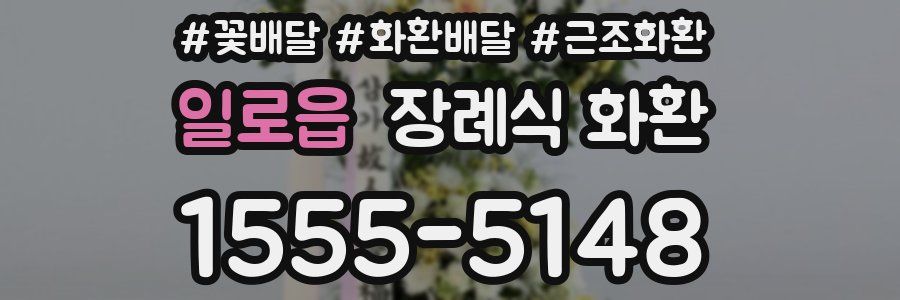 일로읍 장례식 화환
