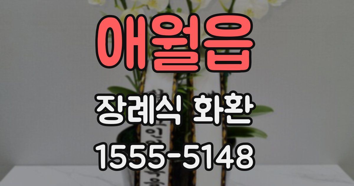 애월읍 장례식 화환