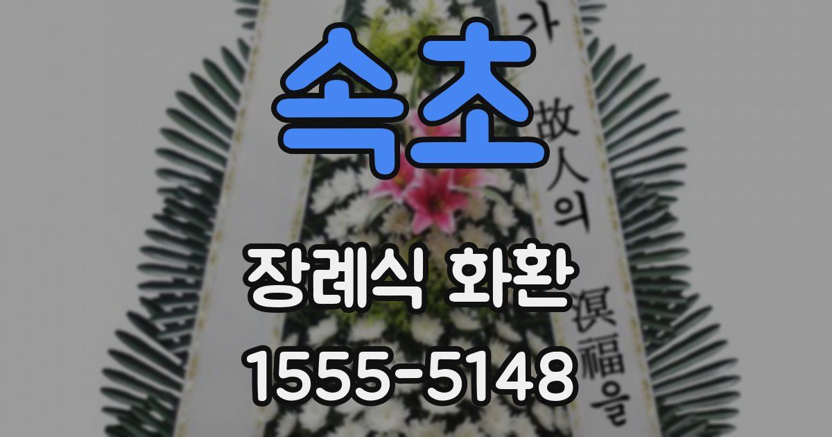 속초 장례식 화환