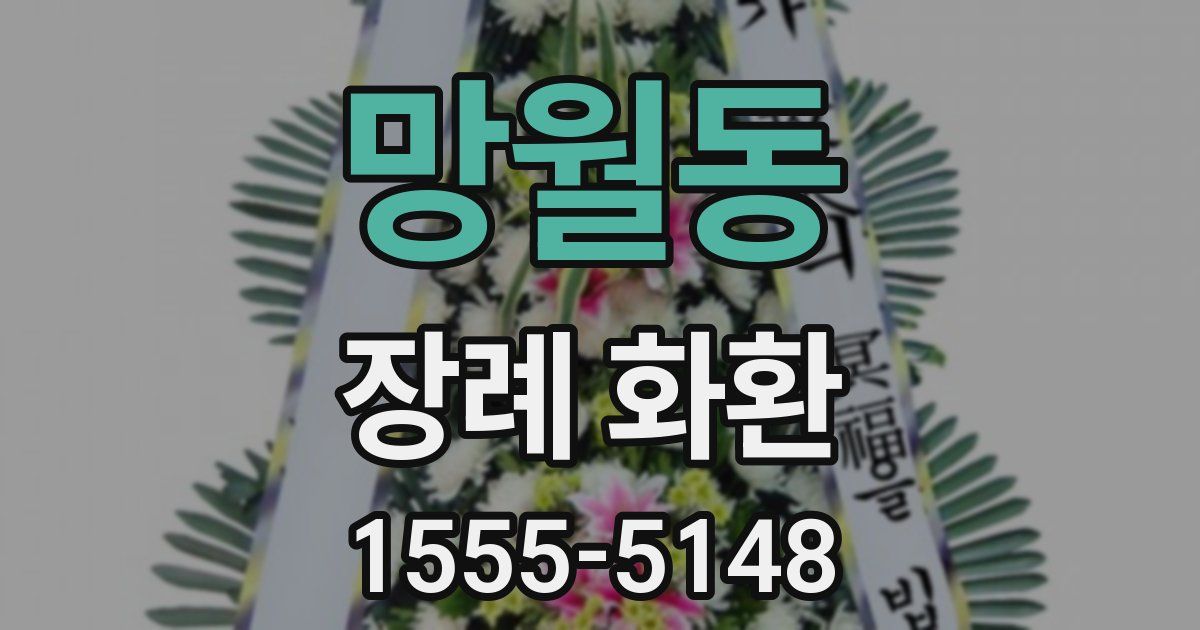 망월동 장례 화환