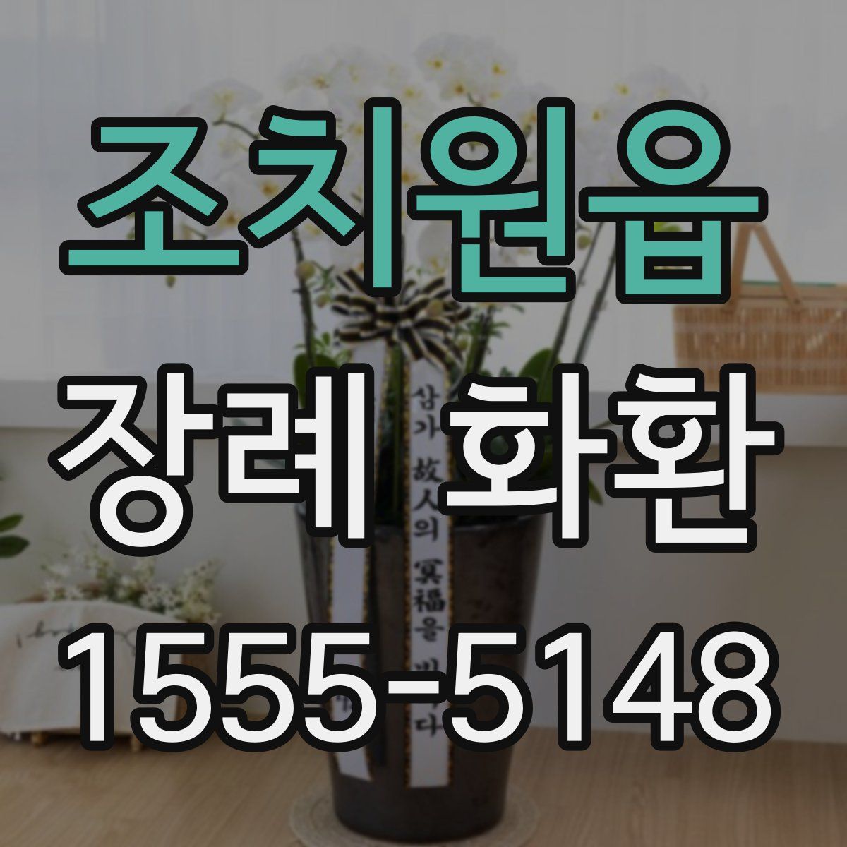 조치원읍 장례 화환