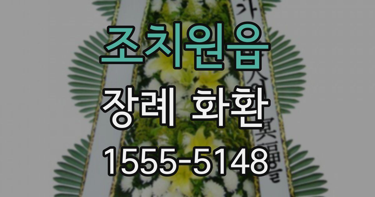 조치원읍 장례 화환