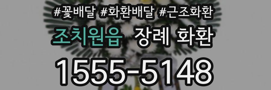 조치원읍 장례 화환