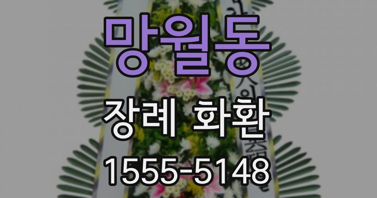 망월동 장례 화환