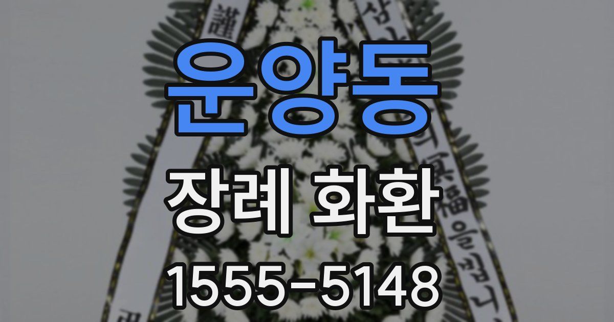 운양동 장례 화환