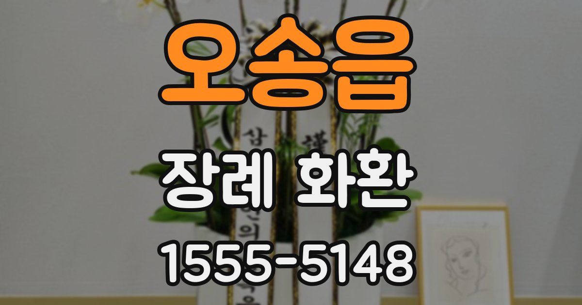 오송읍 장례 화환