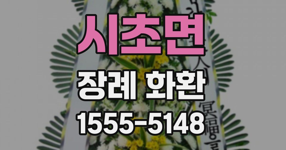 시초면 장례 화환