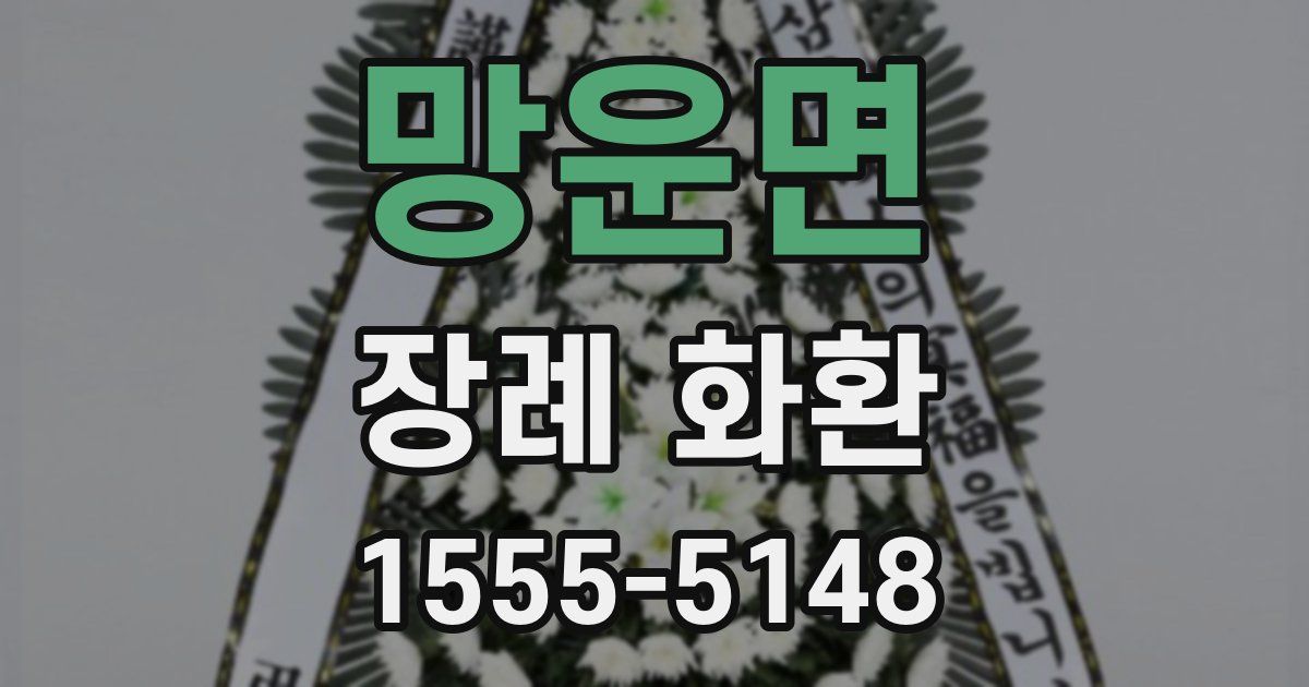 망운면 장례 화환