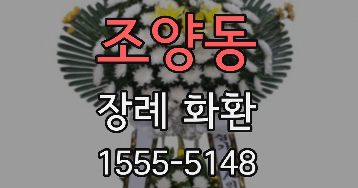 조양동 장례 화환