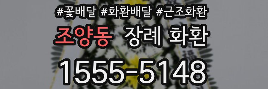 조양동 장례 화환