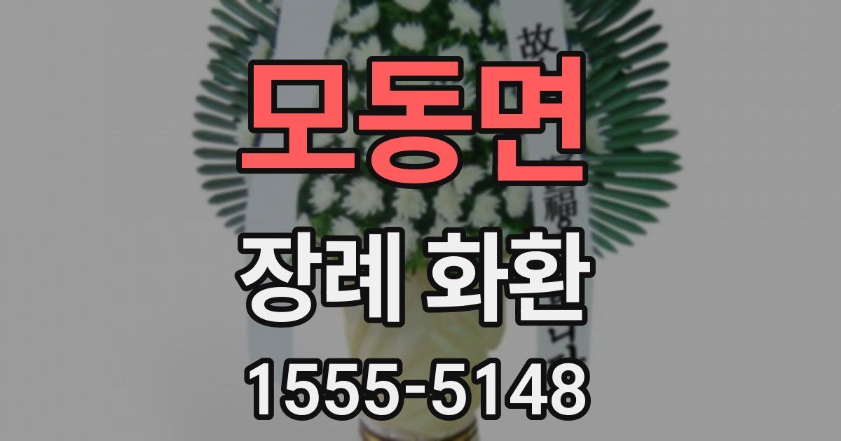 모동면 장례 화환