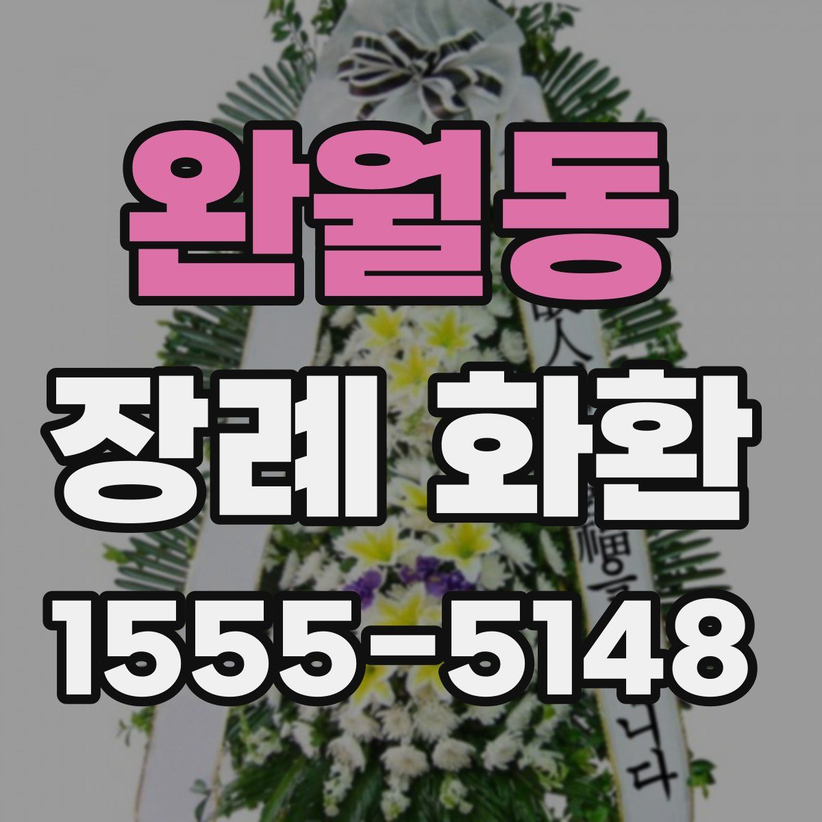 완월동 장례 화환
