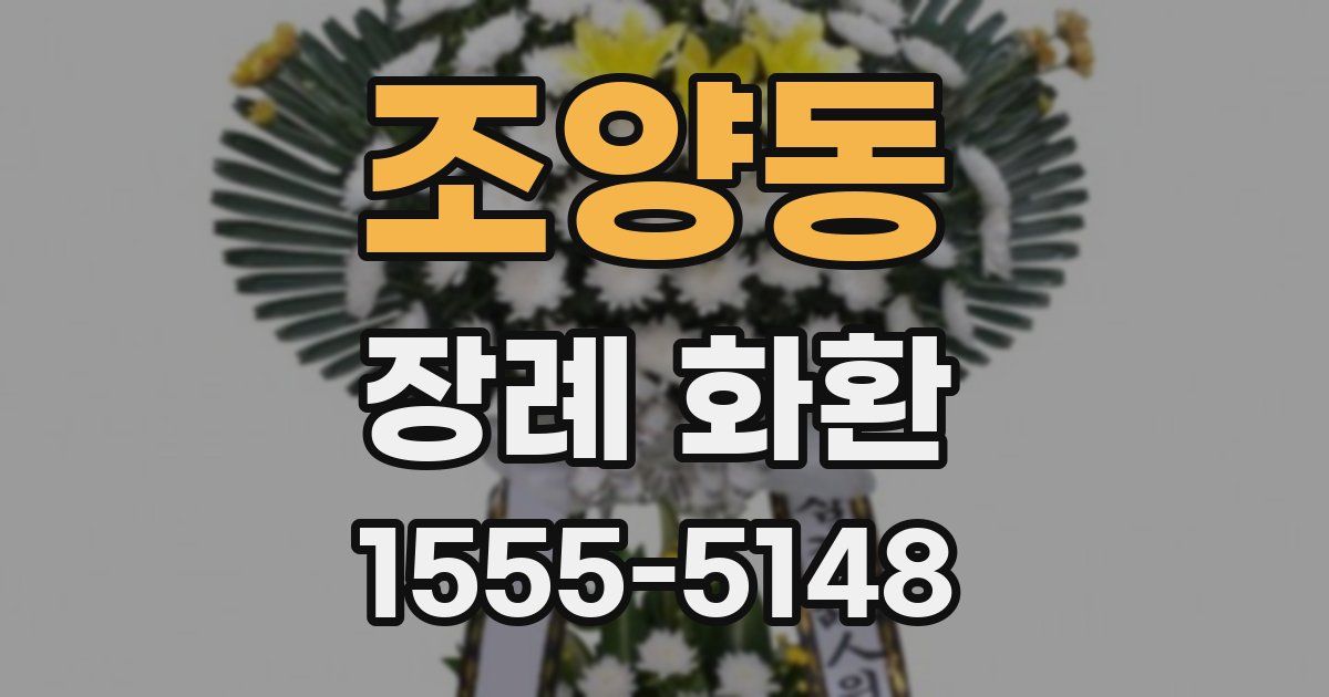 조양동 장례 화환