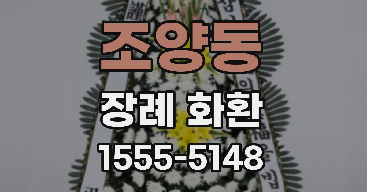 조양동 장례 화환