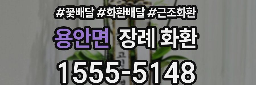 용안면 장례 화환