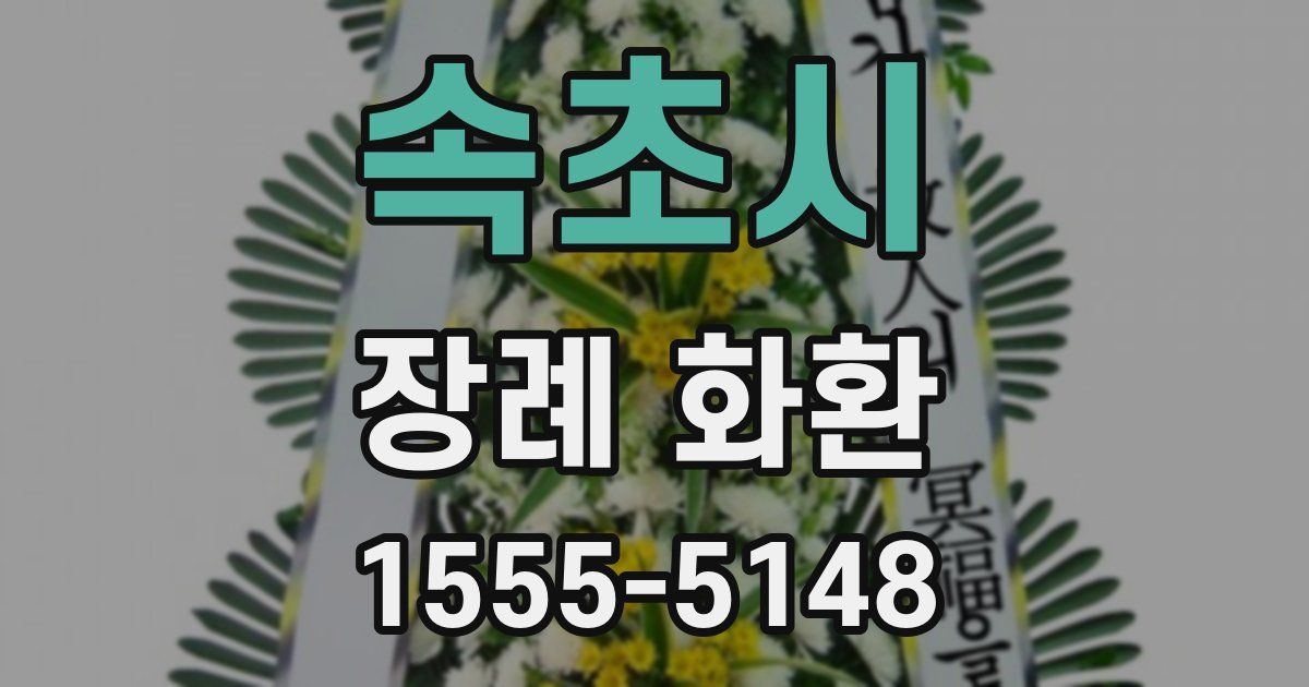 속초시 장례 화환