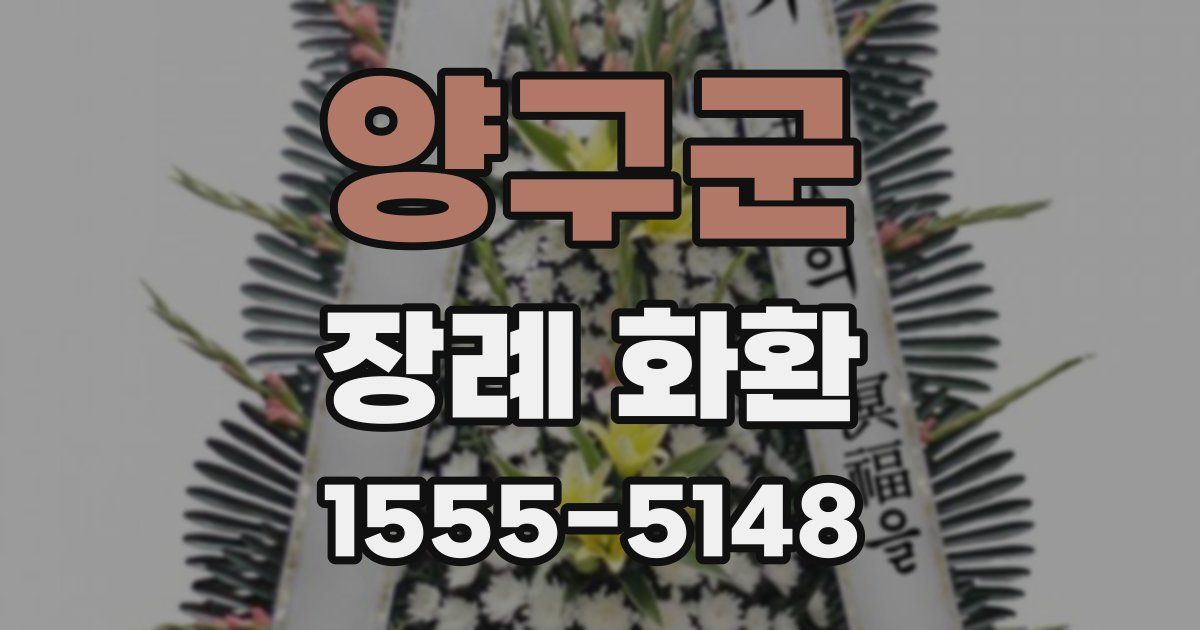 양구군 장례 화환