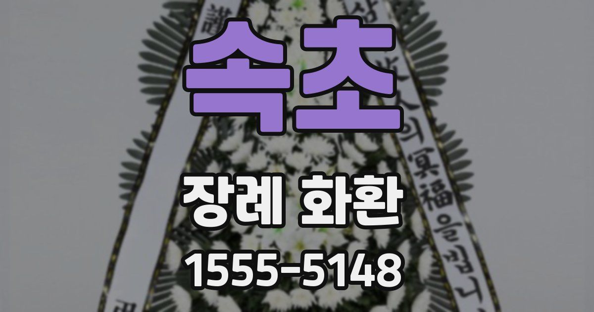 속초 장례 화환