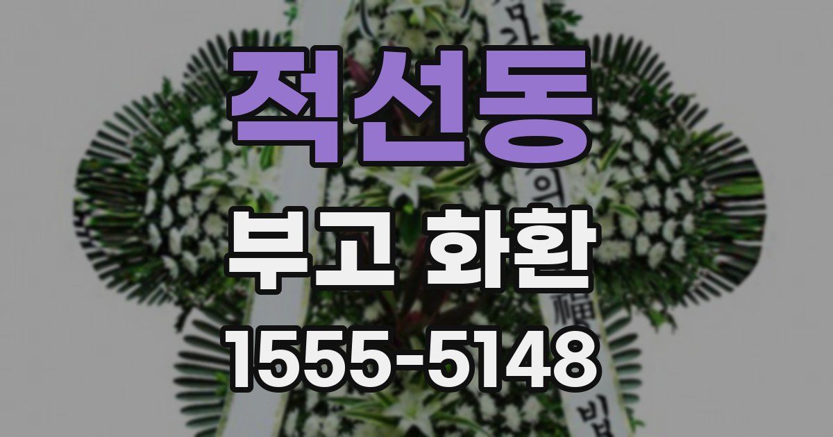 적선동 부고 화환