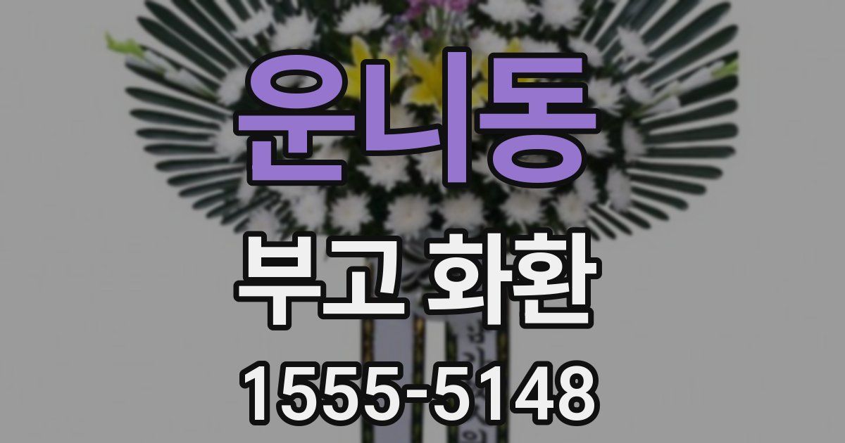 운니동 부고 화환