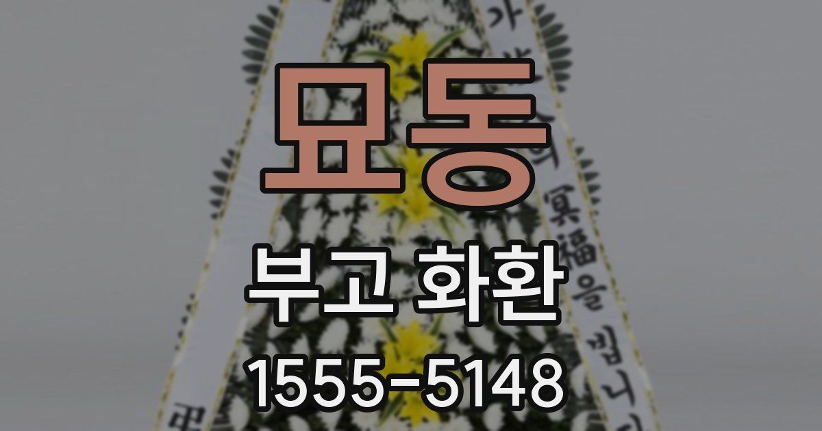묘동 부고 화환