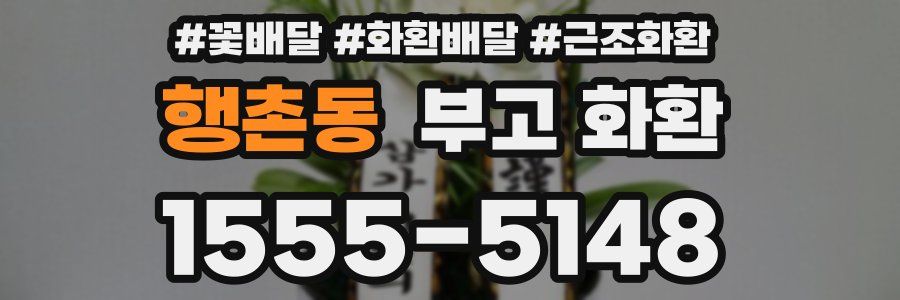 행촌동 부고 화환