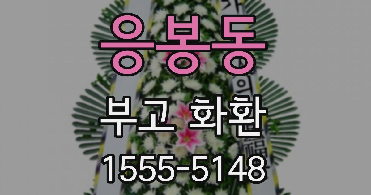 응봉동 부고 화환