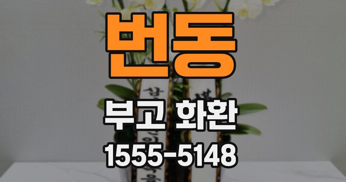 번동 부고 화환