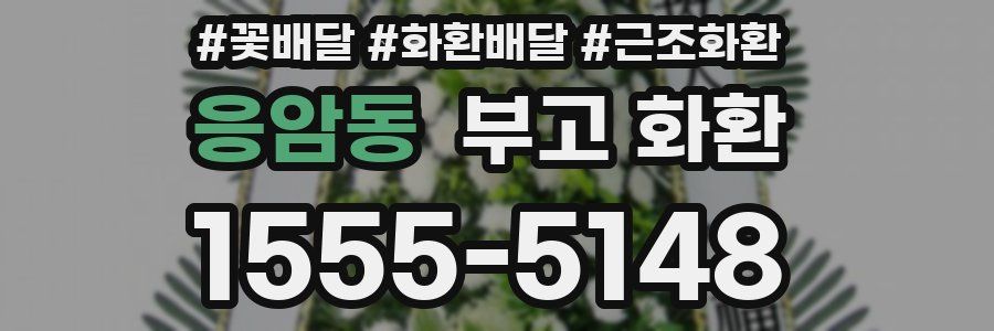 응암동 부고 화환