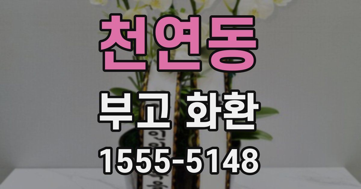 천연동 부고 화환